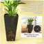 Ensemble de 3 pots à fleurs, pots à fleurs hauts-596850519