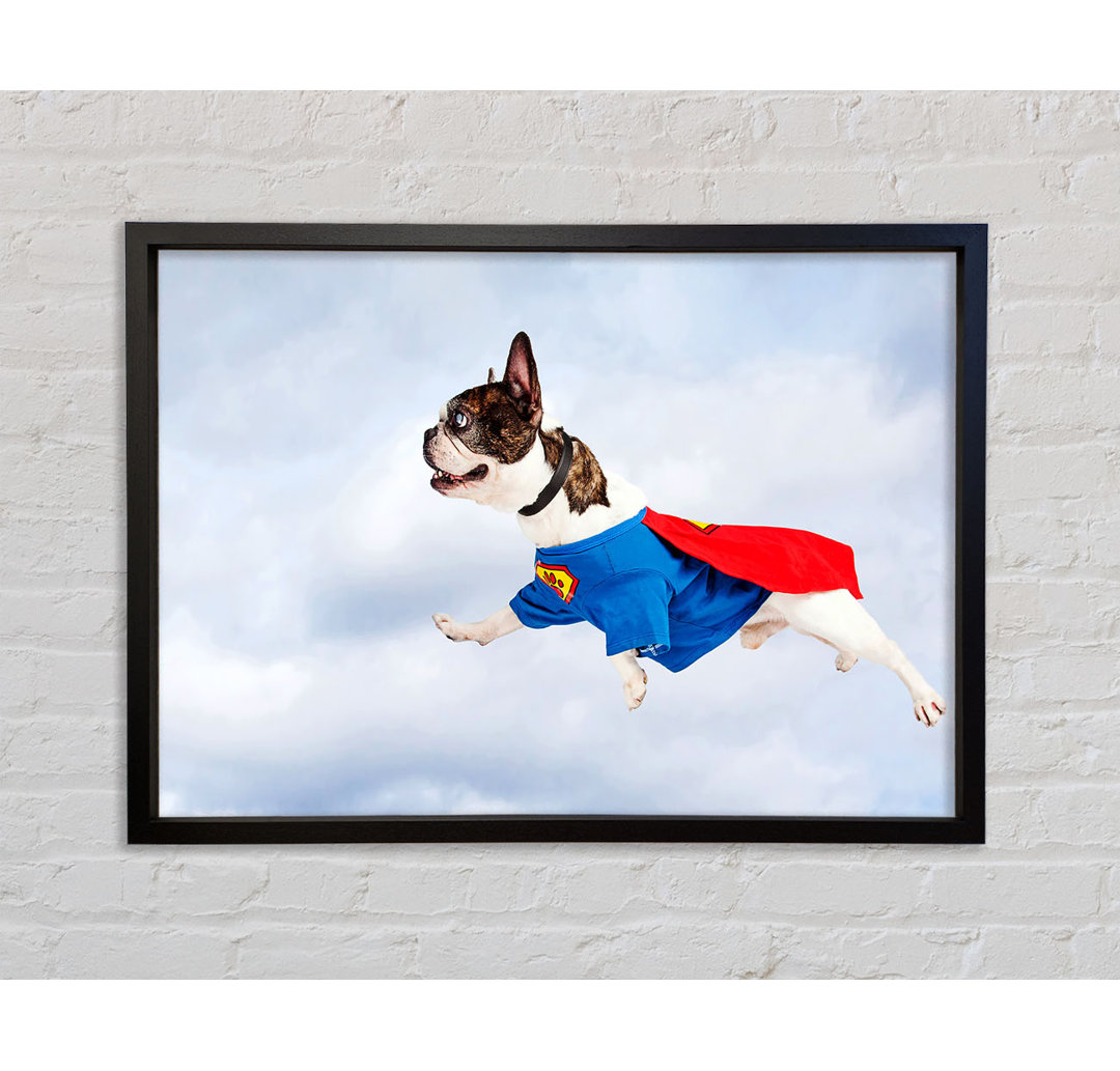 Super Dog Skies - Druck