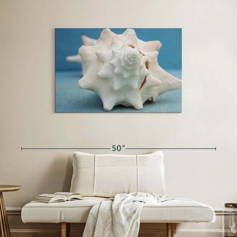 Coquillage blanc Aletra, H 26 po x l 39 po