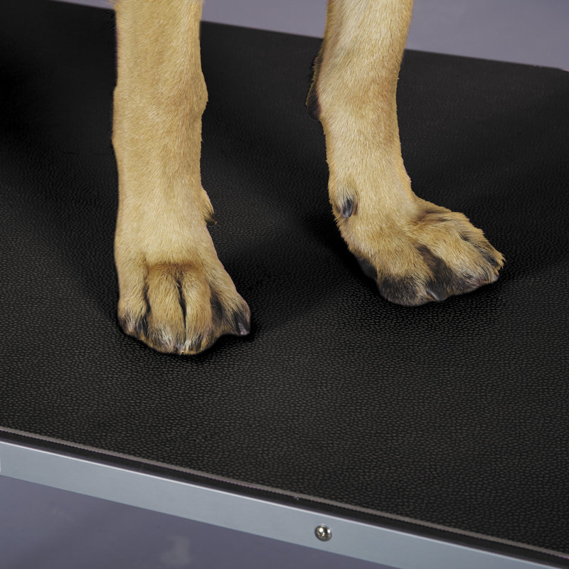 Tapis pour chien, 5.3" H x 36" lx 24" p, Noir