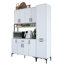 Atesha Accent Chest