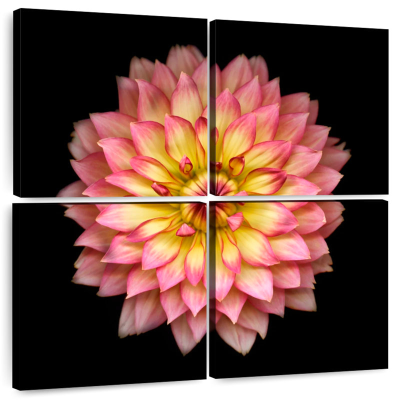 Harnek Pinkish Dahlia Flower