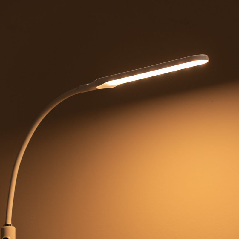 Chaze 19.35cm Powder Coated LED Arched Floor Lamp