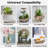 Decorative Ornamental Pebbles