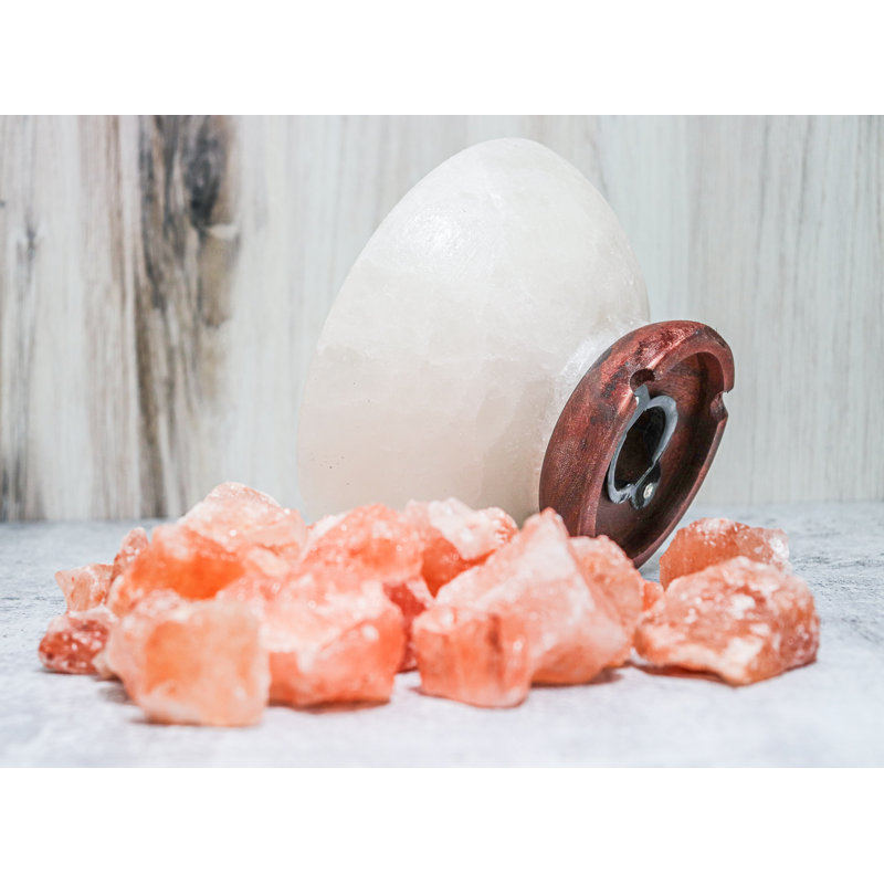 Sharrion 8 Lb. Novelty & Humor Themed Salt Lamp
