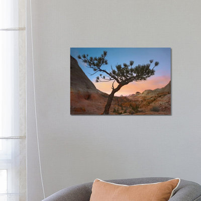 Lone Pine Tree with East and West Temples in the Background 1 Piece Wrapped Canvas Wall Art