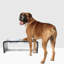 Acrylic Double Bowl Elevated Pet Feeder-393206239