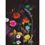 Wildflower Collection 3 Print by Katie Todaro-101965681