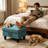 Athiste Upholstered Flannel Storage Ottoman, Multi-Function Tufted Footrest Bench-1713863442