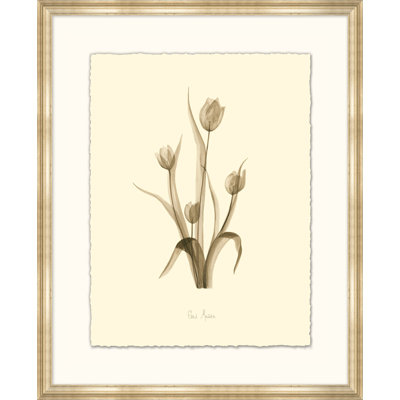 Tulip Print