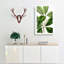 Flowering Tristania Plant - Wrapped Canvas-55363878