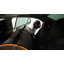 Sac de transport pour animaux Parkridge Divider-1800083708