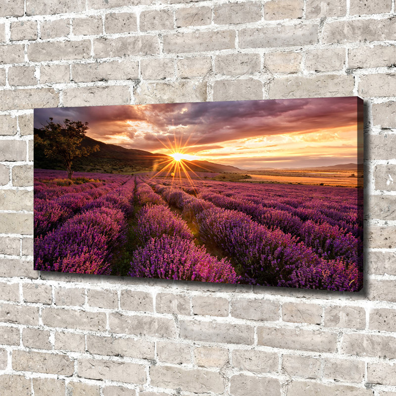 Lavender Field - No Frame Print on Canvas