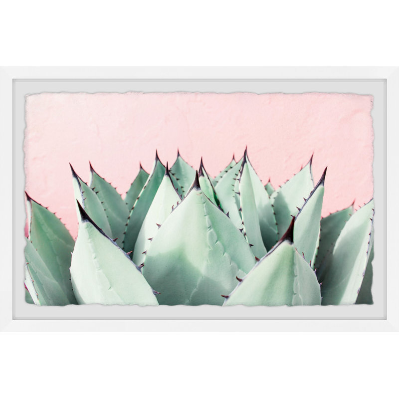 Abdirazaq Sweet Succulents - impression sur papier, H 12 po x l 18 po x p 1,5 po, Blanc encadré avec bordure Deckled