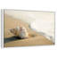 Coquillage sur la plage-871473409-871473415