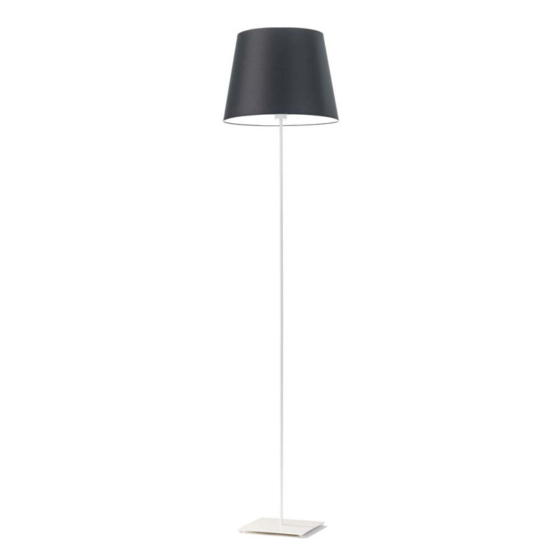 Asauni 162.5cm Traditional Floor Lamp, White, Black