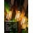 Outdoor Solar String Lights Waterproof 58FT with 25 Shatterproof ST38 LED Bulbs, with Remote