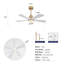 Ventilateur de plafond intérieur chaud 42 pouces avec lumière DEL à intensité variable, 5 pales en bois massif, télécommande, moteur à courant continu-1073409404-1073409405