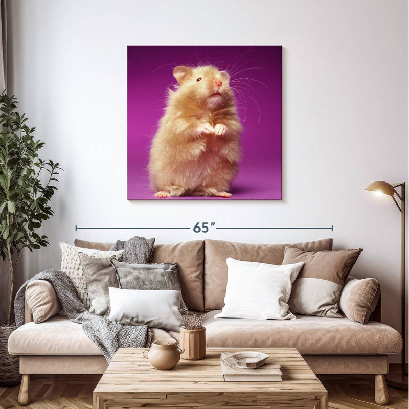 Ketti Fluffy Hamster, 39" H x 39" W