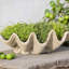 Handmade Planter-13913325