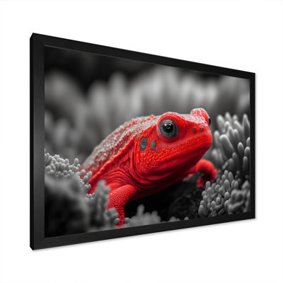 Red Underwater Creature - Animal Fish Print