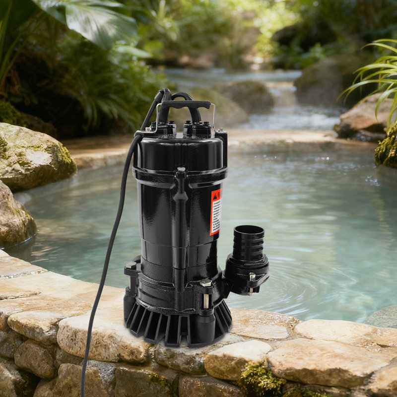 Pompe submersible 750W pour eau sale, Noir mat, 750 Watts