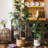 Faux Fiddle Leaf Fig Tree-1894575829