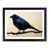 Black Framed selected