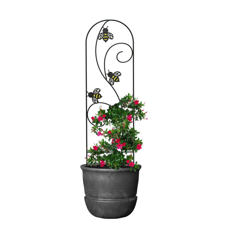 91.4cm H x 25.4cm W Metal Arched Trellis
