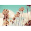 1 Piece Wrapped Canvas Wall Art-1029767014
