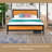Camille Candance Bed