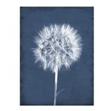 Puffy Seed III Print by Chris Dunker