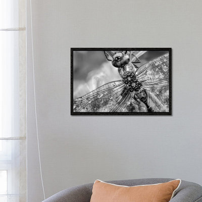 Southern Hawker Dragonfly close up, moisture on wings, New Mexico 1 Piece Wall Art on Canvas