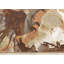 Tapis floral Sophie-1313325072-1313325079