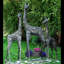 Statue girafe Alga Giuliana-428530165