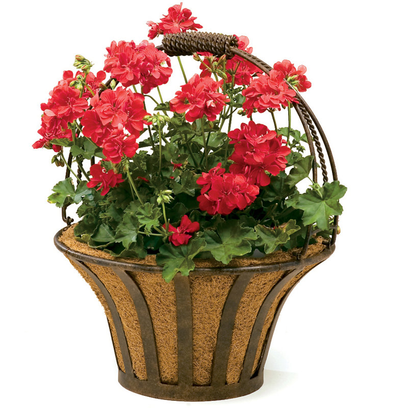 Pot de fleurs en métal Solera