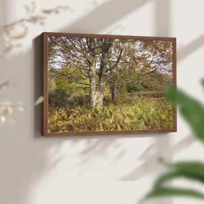 Maple and Ferns -Framed Print - Restickable