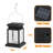 Selke Outdoor Hanging Lantern