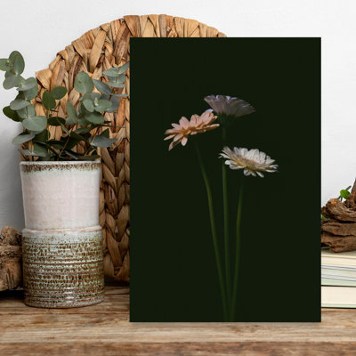 Art floral foncé foncé, élégance délicate, minimaliste, marguerite, nature