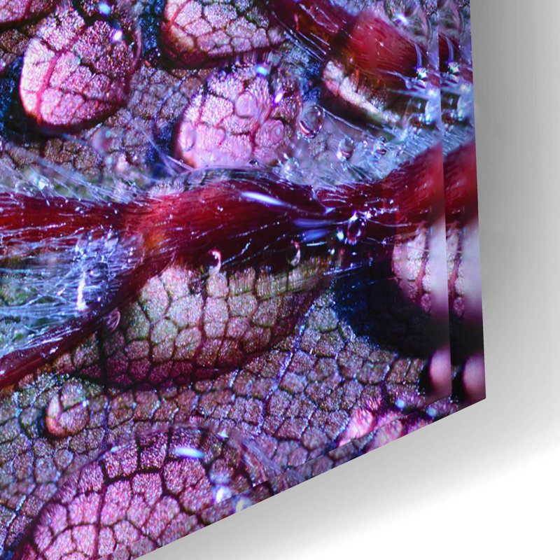 «Dewdrops» par Inconnu, art mural en verre acrylique, H 16 po x l 24 po x P 0,2 po