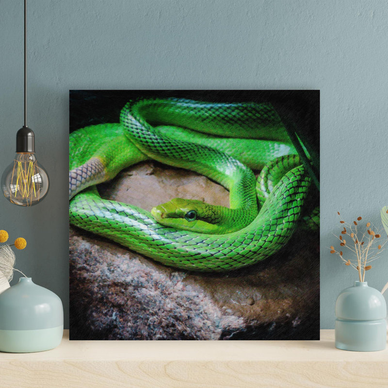 «Green Snake On Stone», reproduction d'art graphique sur toile tendue carrée 1 pièce, H 16 po x l 16 po
