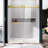 50" - 55" W x 76" H Double Sliding Frameless Shower Door-85011281
