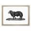 Sheep Illustration - Picture Frame Drawing Print-55619117-55619123