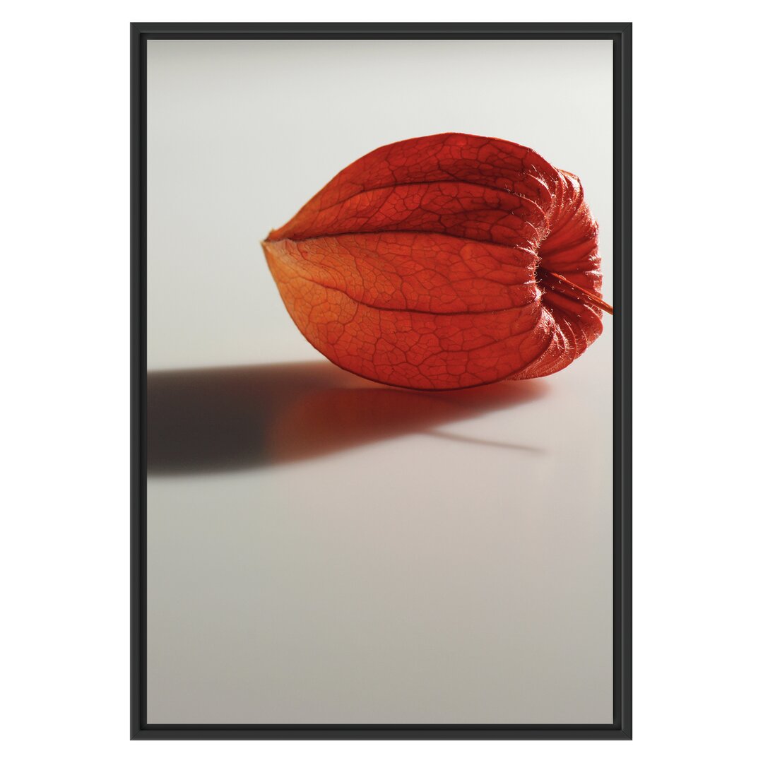 Gerahmtes Wandbild kleine Physalis