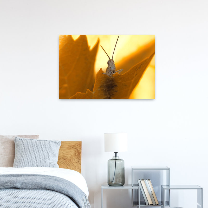 Curious Grasshopper On Golden Leaf Abstract Contemporary Grasshopper Nature Landscape Wall Art Print by Thierry Dufour - Print