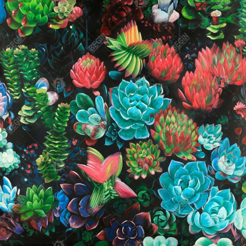 Ensemble de plantes grasses colorées - Cactus vert, toile encadrée