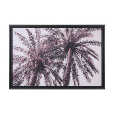 Tuley Palms Horizontal By Deborah Revell A Framed Art Print Matted Under Glass