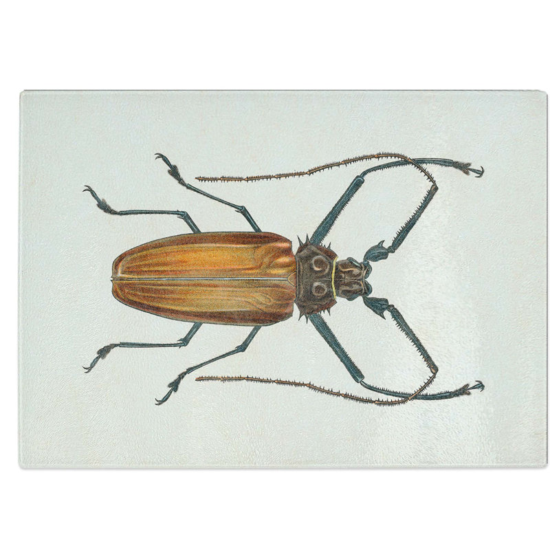 Tempered Glass Beetle Illustration Pl. 11 Chopping Board, 39 cm W x 28.5 cm L