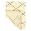 Geometric Area Rug in Beige