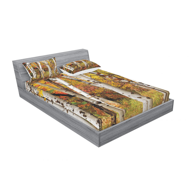 Ensemble de literie pour feuilles d’automne bouleau chutes tree, Ensemble de drap pour grand lit avec drap-housse